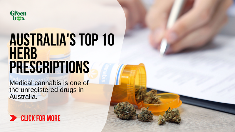 Top 10 Reasons why Cannabis is prescribed for Medical Patients in Australia