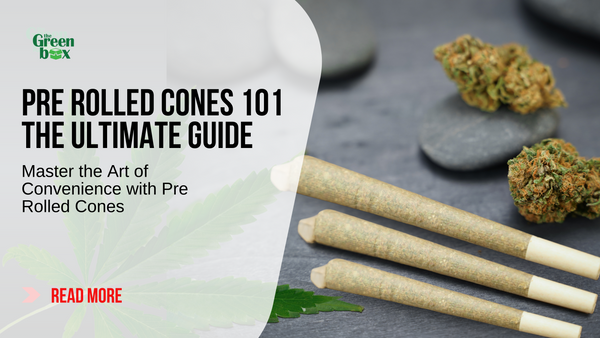 Pre Rolled Cones 101: Your Ultimate Guide
