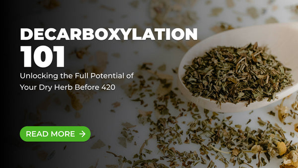 Decarboxylation 101: Unlocking the Full Potential of Your Dry Herb Before 420