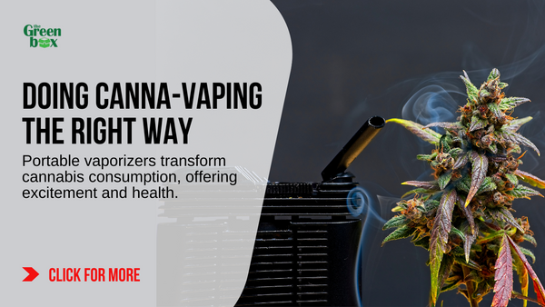 Doing Cannabis Vaporizers the Right Way