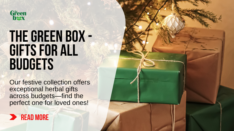 The Ultimate Guide to Christmas Gifts for Every Budget at The Green Box