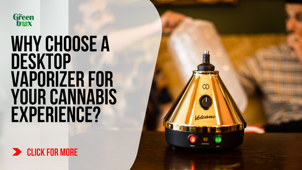 Why Choose a Desktop Vaporizer for Your Cannabis Experience?