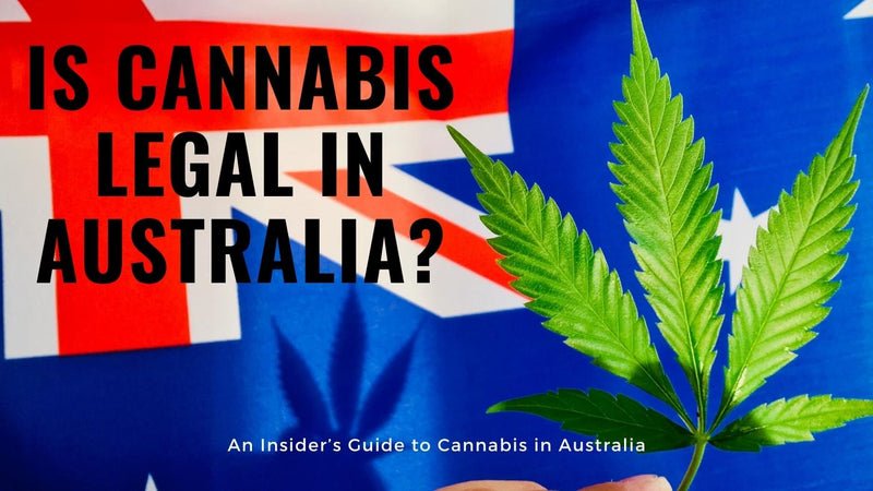 An Insider’s Guide to Cannabis in Australia